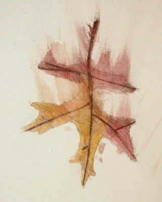 By Emma